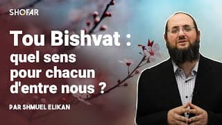 Tou BiShvat : quel sens pour chacun d’entre nous ? Rav Shmuel Elikan.